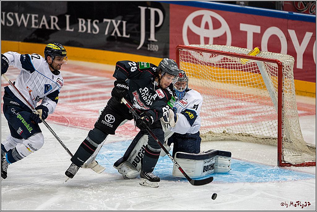 Koelner Haie - ERC Ingolstadt, 23.10.2016